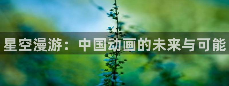 里番动漫,：星空漫游：中国动画的未来与可能