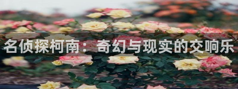 同人里番动漫：名侦探柯南：奇幻与现实的交响乐