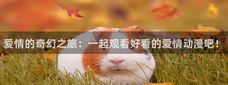 动漫大全里番动漫：爱情的奇幻之旅：一起观看好看的爱情动漫吧！