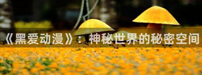 辣妹里番动漫：《黑爱动漫》：神秘世界的秘密空间