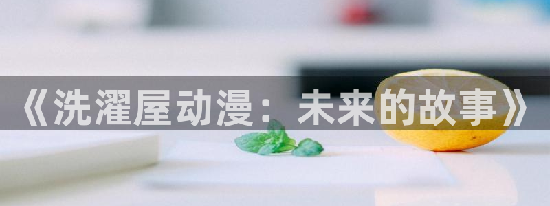 里番动漫网页：《洗濯屋动漫：未来的故事》