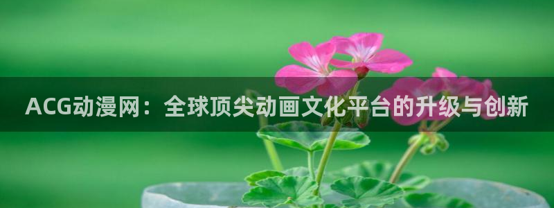 触手里番动漫