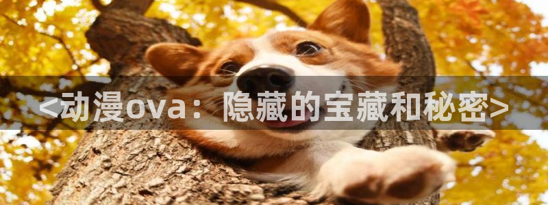 求里番动漫网站：<动漫ova：隐藏的宝藏和秘密>